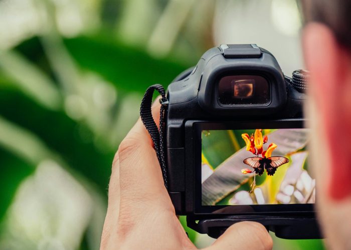 fotograf a działalność